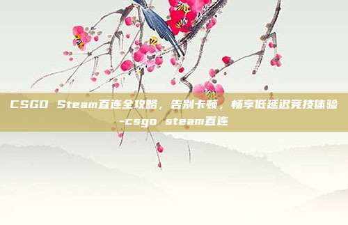 CSGO Steam直连全攻略，告别卡顿，畅享低延迟竞技体验-csgo steam直连