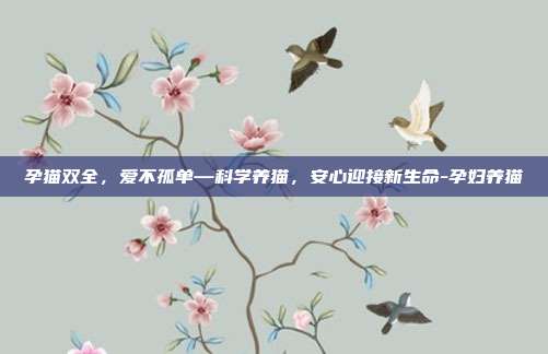孕猫双全,爱不孤单—科学养猫,安心迎接新生命-孕妇养猫