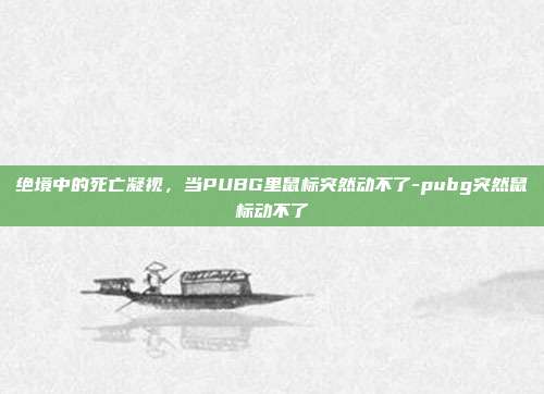 绝境中的死亡凝视，当PUBG里鼠标突然动不了-pubg突然鼠标动不了
