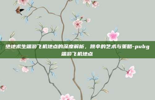 绝地求生端游飞机地点的深度解析,跳伞的艺术与策略-pubg端游飞机地点