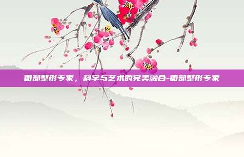 面部整形专家,科学与艺术的完美融合-面部整形专家