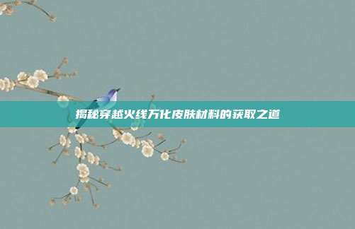 揭秘穿越火线万化皮肤材料的获取之道