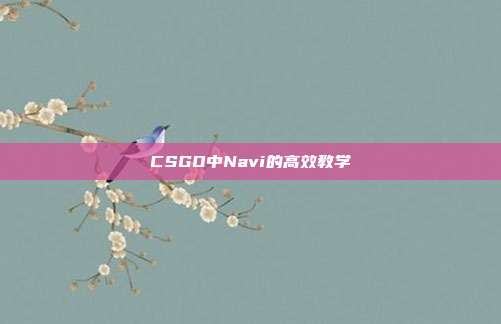 CSGO中Navi的高效教学