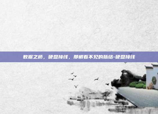 数据之桥,硬盘接线,那根看不见的脉络-硬盘接线