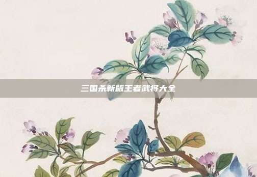 三国杀新版王者武将大全
