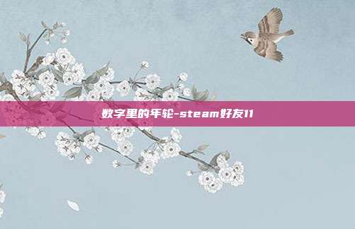数字里的年轮-steam好友11
