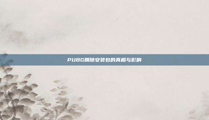PUBG删除安装包的真相与影响