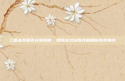 三国杀竞猜币兑换指南，如何高效获取并利用你的竞猜币