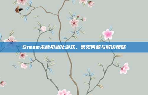 Steam未能初始化游戏,常见问题与解决策略