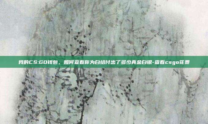我的CS:GO钱包，如何查看你为白给付出了多少真金白银-查看csgo花费