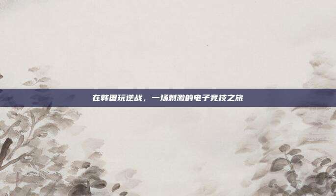 在韩国玩逆战,一场刺激的电子竞技之旅