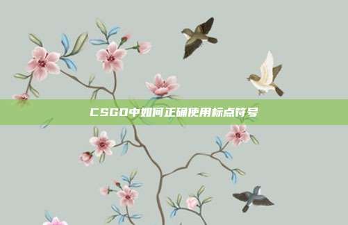 CSGO中如何正确使用标点符号
