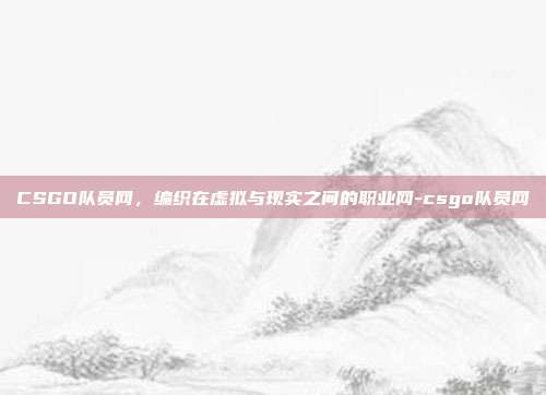 CSGO队员网,编织在虚拟与现实之间的职业网-csgo队员网