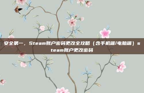安全第一,Steam账户密码更改全攻略(含手机端/电脑端)steam账户更改密码