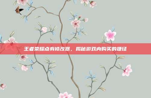 王者荣耀点券修改器，揭秘游戏内购买的捷径