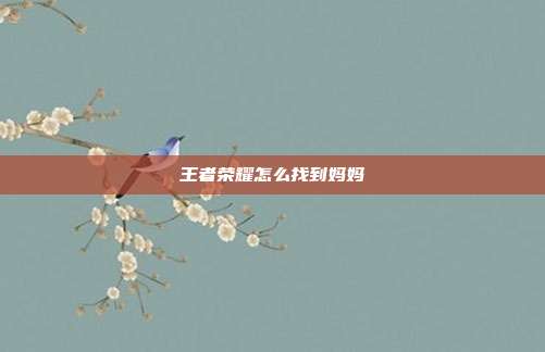 王者荣耀怎么找到妈妈
