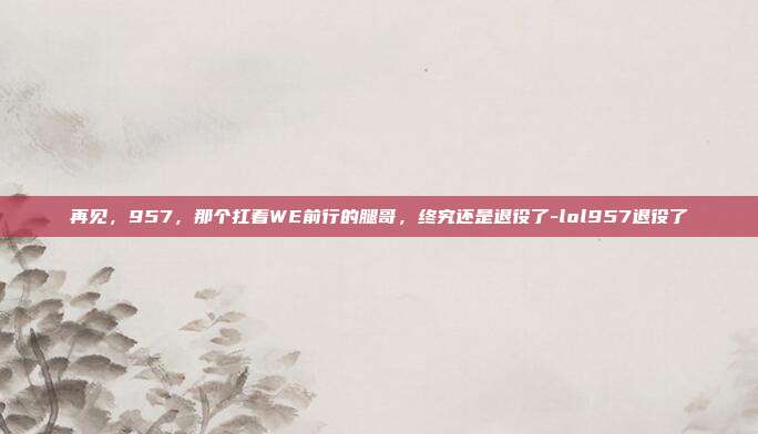再见，957，那个扛着WE前行的腿哥，终究还是退役了-lol957退役了