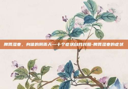 脾胃湿寒,身体的阴雨天—十个症状自我对照-脾胃湿寒的症状