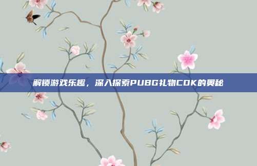 解锁游戏乐趣，深入探索PUBG礼物CDK的奥秘