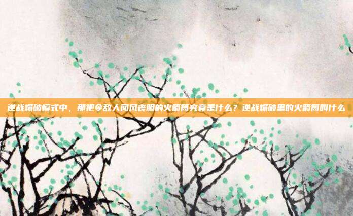 逆战爆破模式中，那把令敌人闻风丧胆的火箭筒究竟是什么？逆战爆破里的火箭筒叫什么