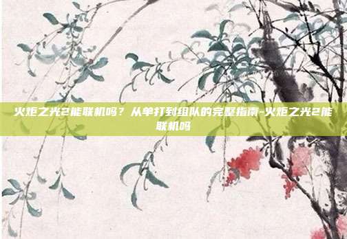 火炬之光2能联机吗?从单打到组队的完整指南-火炬之光2能联机吗