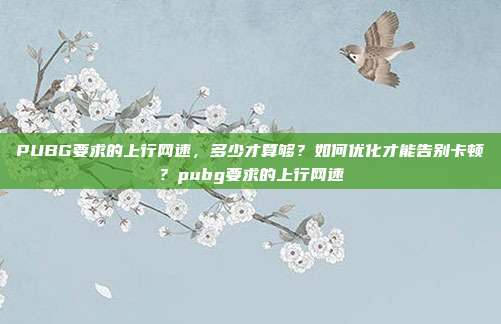 PUBG要求的上行网速，多少才算够？如何优化才能告别卡顿？pubg要求的上行网速