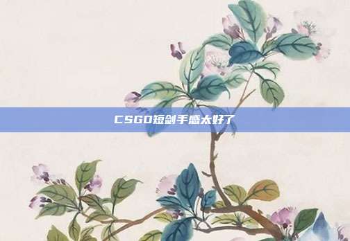 CSGO短剑手感太好了