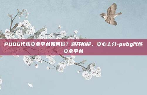 PUBG代练安全平台如何选？避开陷阱，安心上分-pubg代练安全平台