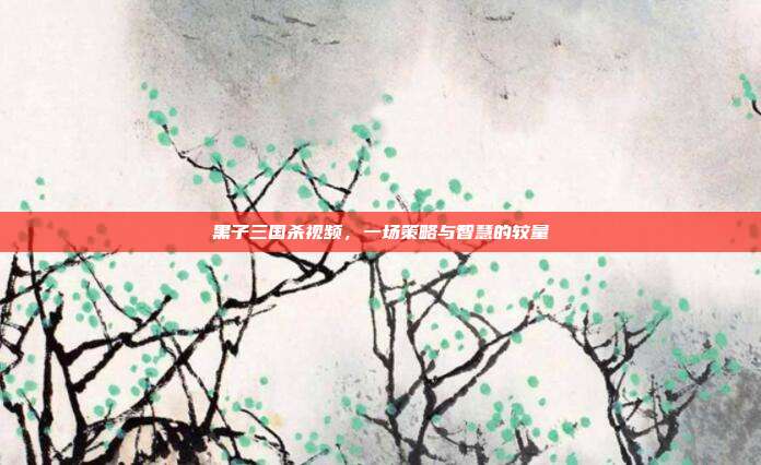 黑子三国杀视频，一场策略与智慧的较量