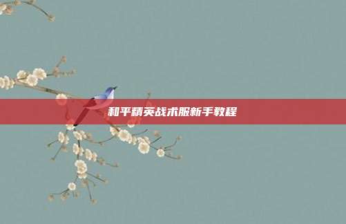 和平精英战术服新手教程