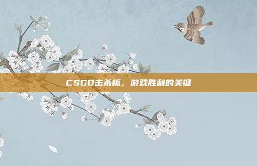 CSGO击杀板，游戏胜利的关键