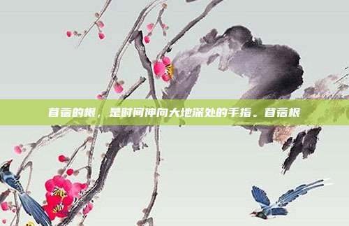 苜蓿的根，是时间伸向大地深处的手指。苜蓿根