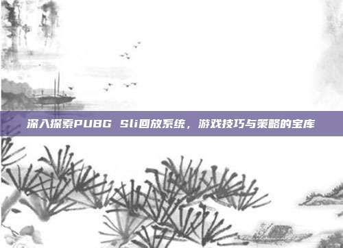 深入探索PUBG Sli回放系统，游戏技巧与策略的宝库