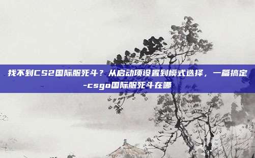 找不到CS2国际服死斗？从启动项设置到模式选择，一篇搞定-csgo国际服死斗在哪