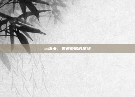 三国杀,独进策略的精髓