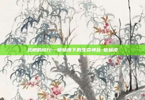 丑陋的修行—蟾蜍皮下的生命禅意-蟾蜍皮
