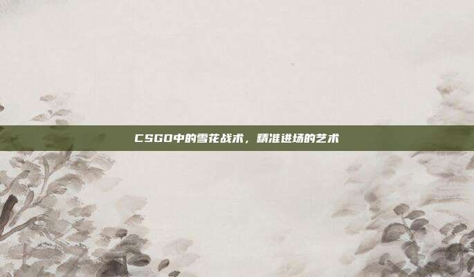 CSGO中的雪花战术,精准进场的艺术