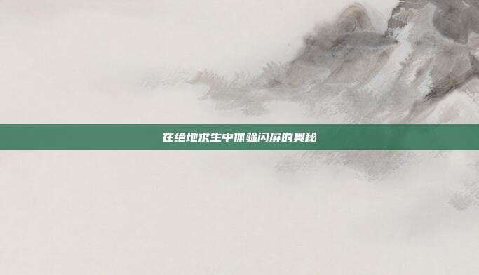 在绝地求生中体验闪屏的奥秘