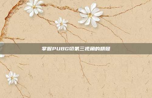 掌握PUBG切第三视角的精髓