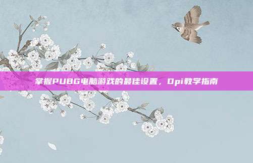 掌握PUBG电脑游戏的最佳设置，Dpi教学指南