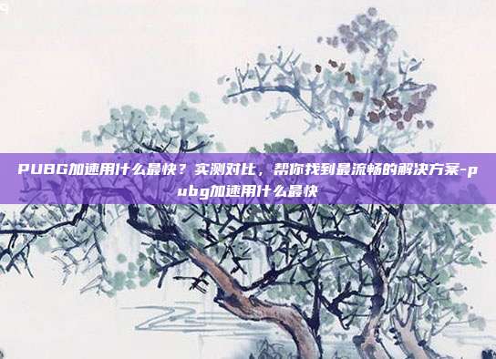 PUBG加速用什么最快？实测对比，帮你找到最流畅的解决方案-pubg加速用什么最快