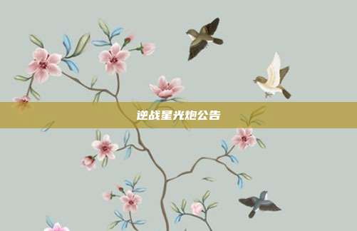 逆战星光炮公告