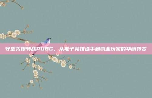 守望先锋转战PUBG,从电子竞技选手到职业玩家的华丽转变