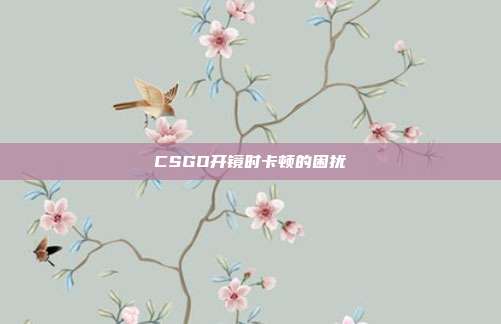CSGO开镜时卡顿的困扰