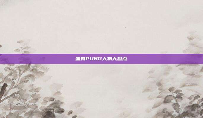 国内PUBG人物大盘点