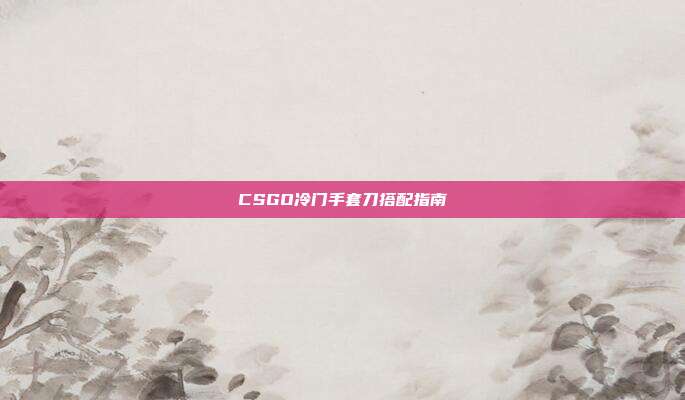 CSGO冷门手套刀搭配指南