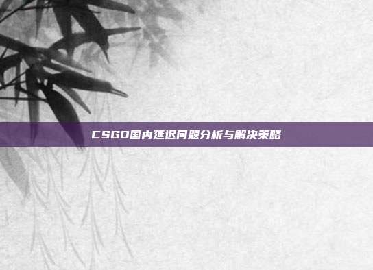 CSGO国内延迟问题分析与解决策略