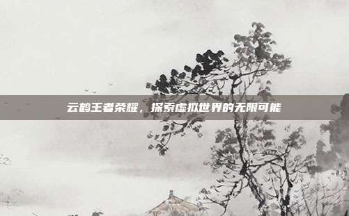 云鹤王者荣耀,探索虚拟世界的无限可能
