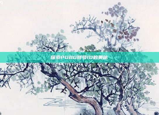 探索PUBG账号ID的奥秘