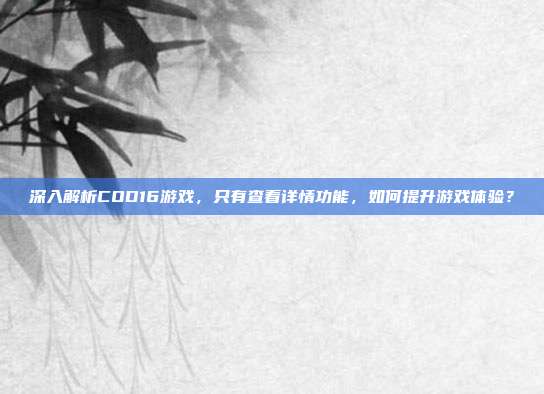深入解析COD16游戏，只有查看详情功能，如何提升游戏体验？